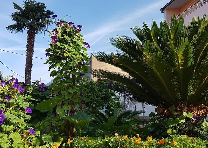Maison d'hôtes Mamma Mia